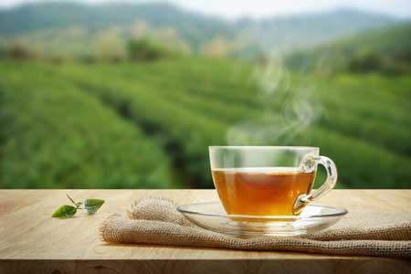 بهبود تمرکز سالمندان با نوشیدن چای