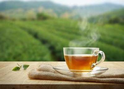 بهبود تمرکز سالمندان با نوشیدن چای