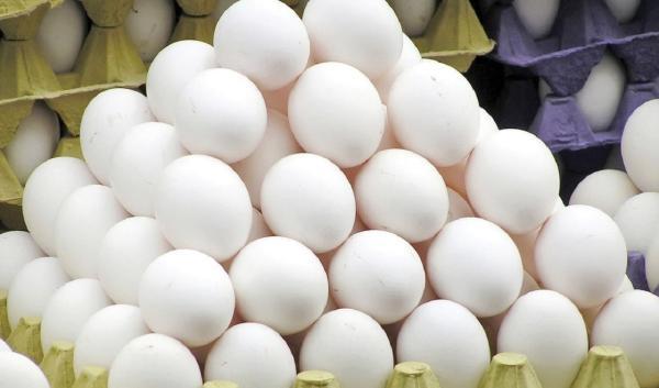 نرخ 105 هزارتومانی هر شانه تخم مرغ منطقی است