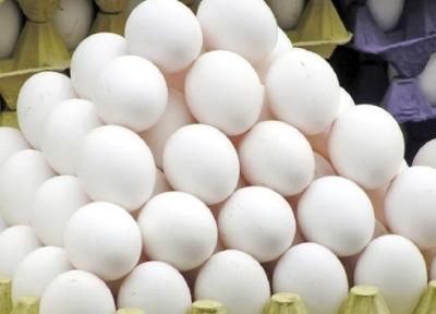 نرخ 105 هزارتومانی هر شانه تخم مرغ منطقی است